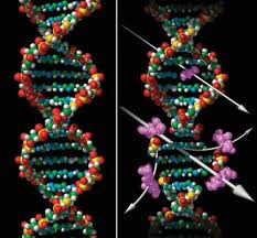 DNA, aliens og Jordmenneskets