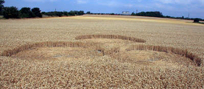 Korncirkel ved Hammel, Danmark